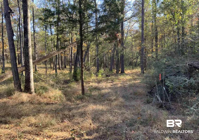 Photo 3 of Land for sale at 10 Drinkard Rd, Bay Minette, AL 36507 | MLS# 388891 | Listing updated on 2026-08-02