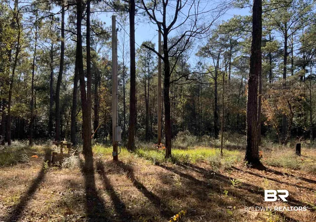 Photo 4 of Land for sale at 10 Drinkard Rd, Bay Minette, AL 36507 | MLS# 388891 | Listing updated on 2026-08-02