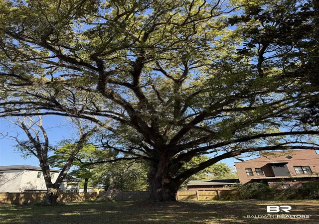 Photo 4 of Land for sale at 208 Oswalt St, Fairhope, AL 36532 | MLS# 393941 | Listing updated on 2026-08-02