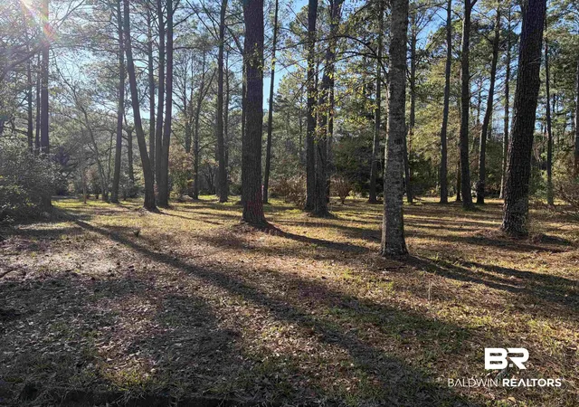 Photo 1 of Land for sale at 0 Venice Ct, Mobile, AL 36605 | MLS# 391071 | Listing updated on 2026-08-02