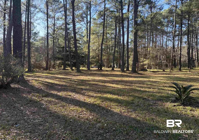 Photo 2 of Land for sale at 0 Venice Ct, Mobile, AL 36605 | MLS# 391071 | Listing updated on 2026-08-02