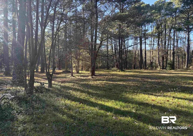 Photo 3 of Land for sale at 0 Venice Ct, Mobile, AL 36605 | MLS# 391071 | Listing updated on 2026-08-02