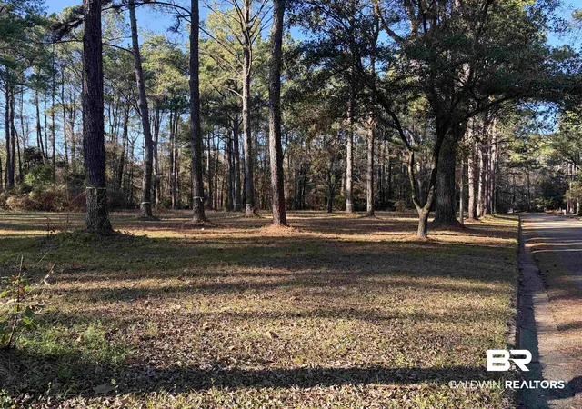 Photo 3 of Land for sale at 0 Venice Ct, Mobile, AL 36605 | MLS# 391071 | Listing updated on 2026-08-02