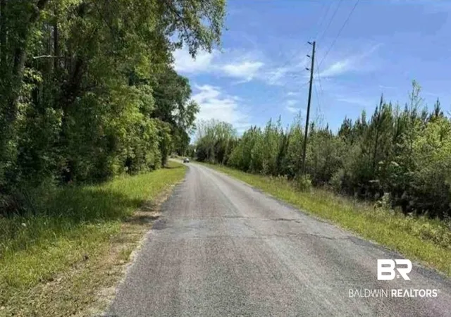 1st image of 0 Horace Odom Rd, Millry, AL 36558 | MLS# 386533