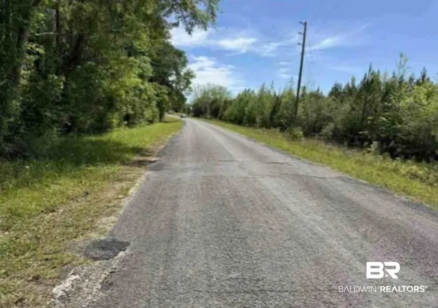 2nd image of 0 Horace Odom Rd, Millry, AL 36558 | MLS# 386533