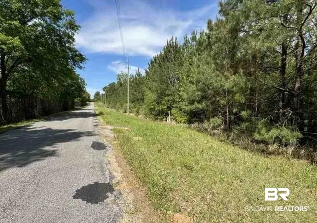 3rd image of 0 Horace Odom Rd, Millry, AL 36558 | MLS# 386533
