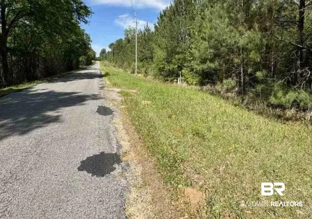 4th image of 0 Horace Odom Rd, Millry, AL 36558 | MLS# 386533