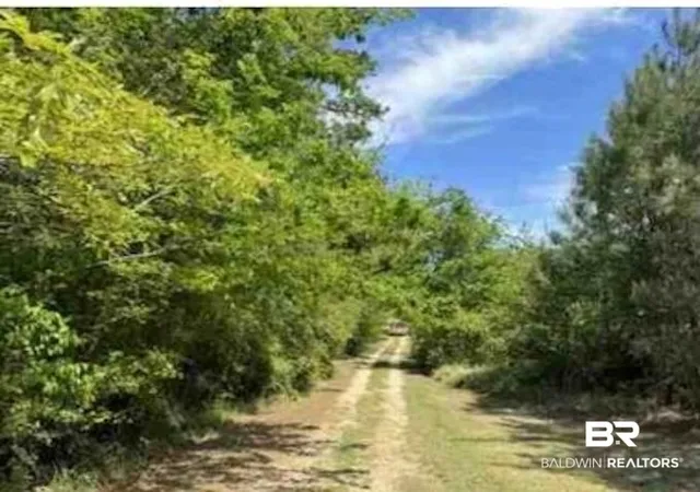 5th image of 0 Horace Odom Rd, Millry, AL 36558 | MLS# 386533