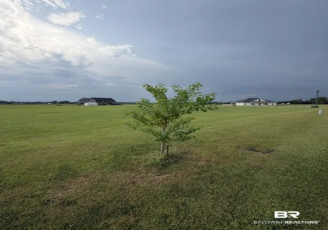 Photo 3 of Land for sale at 0 Valamour Blvd, Loxley, AL 36551 | MLS# 409088 | Listing updated on 2026-09-24