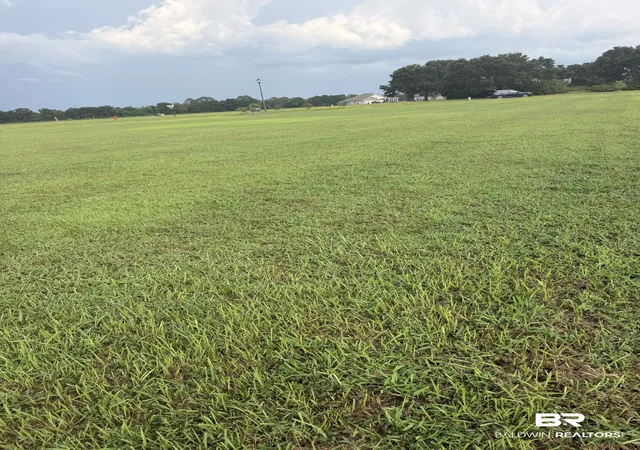 Photo 4 of Land for sale at 0 Valamour Blvd, Loxley, AL 36551 | MLS# 409088 | Listing updated on 2026-09-24