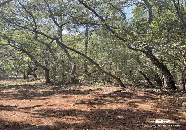 Photo 2 of Land for sale at 9847 S County Rd 99, Lillian, AL 36549 | MLS# 386857 | Listing updated on 2026-08-02