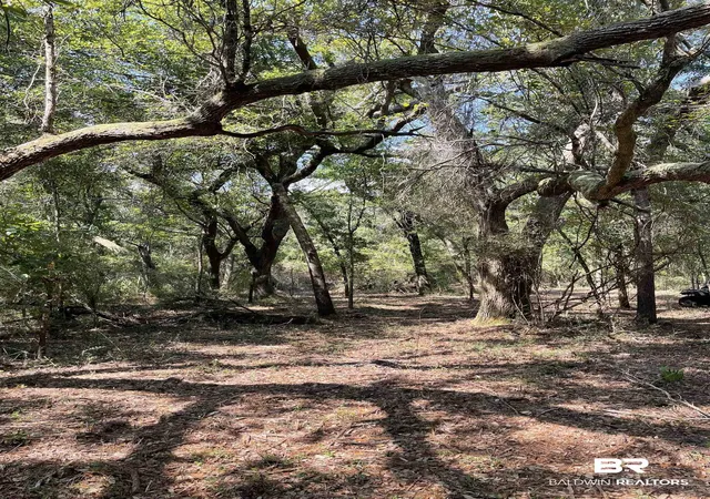 Photo 3 of Land for sale at 9847 S County Rd 99, Lillian, AL 36549 | MLS# 386857 | Listing updated on 2026-08-02
