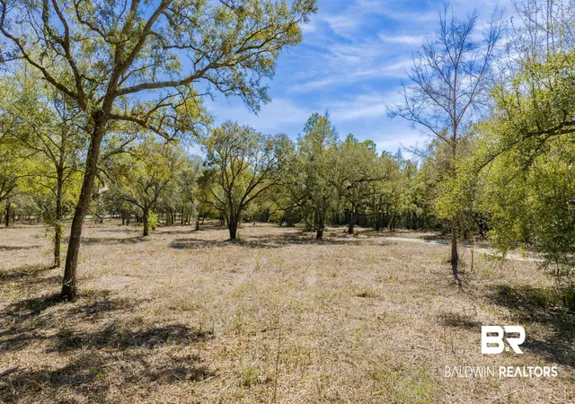 1st image of 00 County Rd 99, Lillian, AL 36549 | MLS# 396557