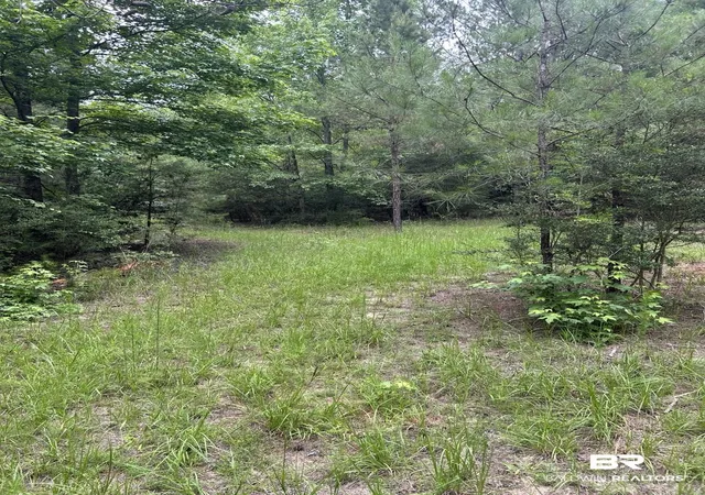 2nd image of Off County Rd 37, Brewton, AL 36426 | MLS# 398261