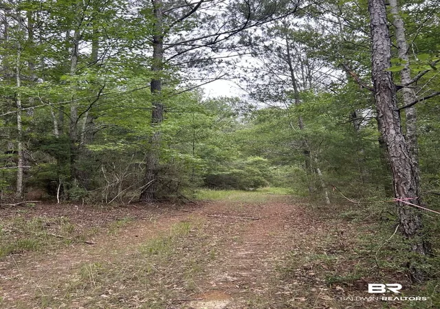 Photo 3 of Land for sale at Off County Rd 37, Brewton, AL 36426 | MLS# 398261 | Listing updated on 2026-07-24