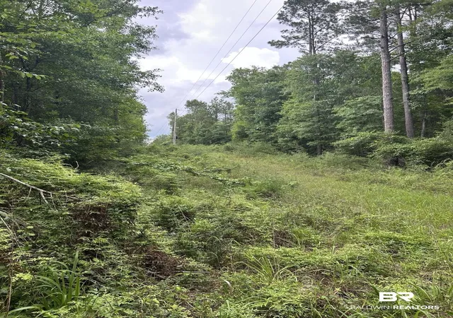 4th image of Off County Rd 37, Brewton, AL 36426 | MLS# 398261