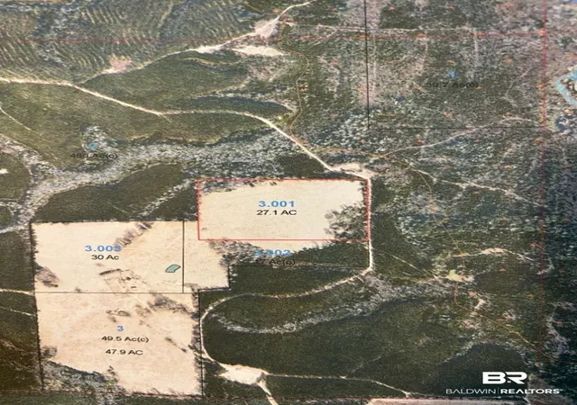 1st image of 0 Highway 41, Brewton, AL 36426 | MLS# 391298