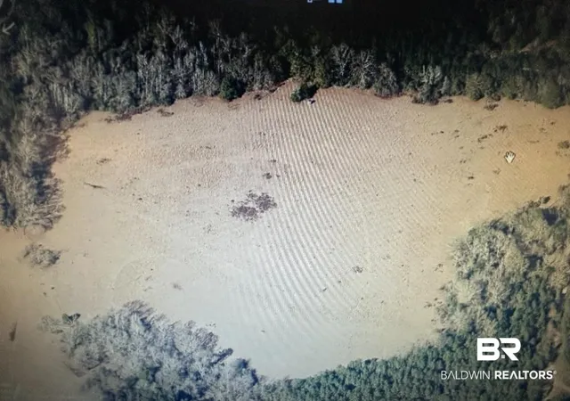 2nd image of 0 Highway 41, Brewton, AL 36426 | MLS# 391298