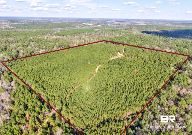 Photo 1 of Land for sale at 0 Jones Ln, Bay Minette, AL 36507 | MLS# 399576 | Listing updated on 2026-07-28