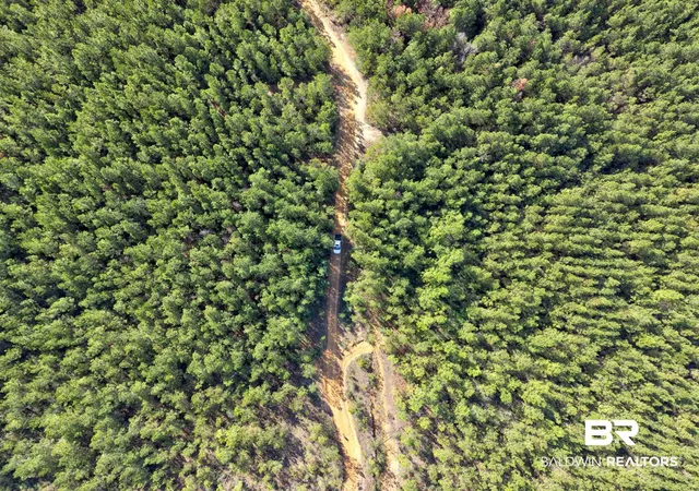 Photo 3 of Land for sale at 0 Jones Ln, Bay Minette, AL 36507 | MLS# 399576 | Listing updated on 2026-07-28