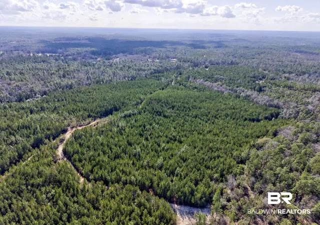 Photo 3 of Land for sale at 0 Jones Ln, Bay Minette, AL 36507 | MLS# 399576 | Listing updated on 2026-07-28