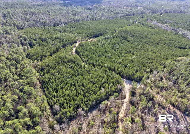 Photo 4 of Land for sale at 0 Jones Ln, Bay Minette, AL 36507 | MLS# 399576 | Listing updated on 2026-07-28