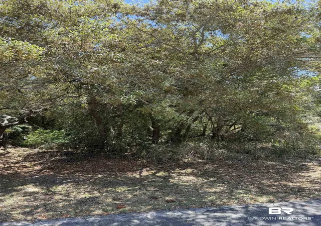 Photo 2 of Land for sale at 0 Shoalwater Dr, Orange Beach, AL 36561 | MLS# 394989 | Listing updated on 2026-09-09
