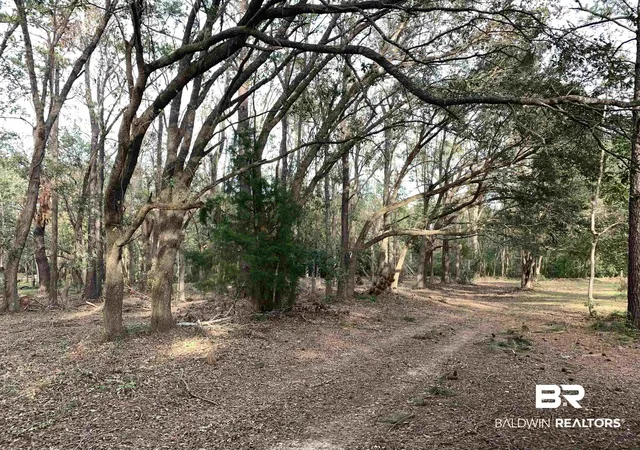 Photo 1 of Land for sale at 8789 County Rd 11, Fairhope, AL 36532 | MLS# 397684 | Listing updated on 2026-09-18