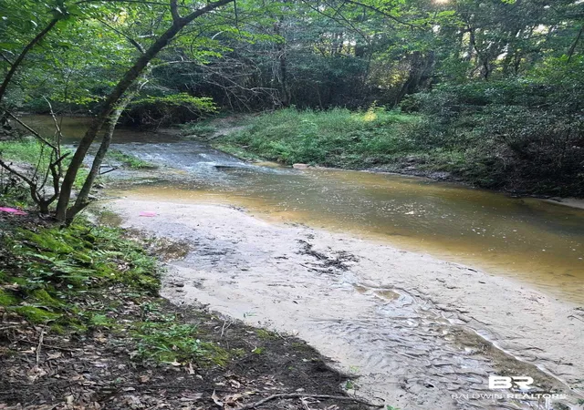 59th image of 200 Zane, Saraland, AL 36571 | MLS# 396509