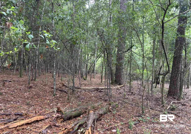 2nd image of Lot 7 County Rd 48, Robertsdale, AL 36567 | MLS# 399868