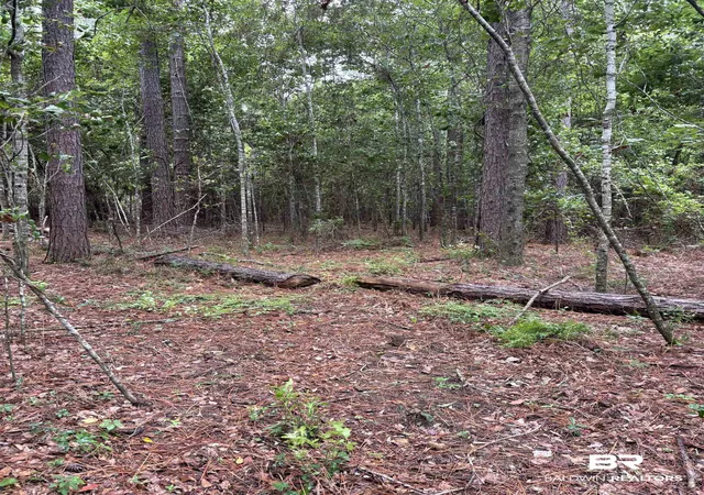 3rd image of Lot 7 County Rd 48, Robertsdale, AL 36567 | MLS# 399868