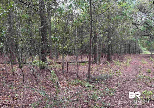 4th image of Lot 7 County Rd 48, Robertsdale, AL 36567 | MLS# 399868