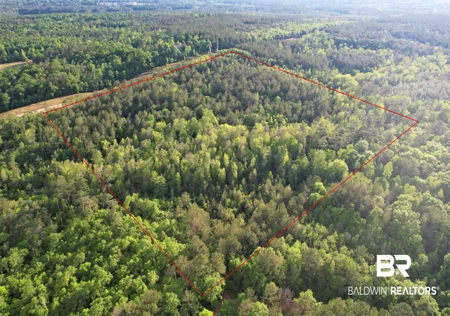 Land for sale at 0 Pleasant Hl Rd, Century, FL 32535 | MLS# 396783 | Listing updated on 2026-10-13