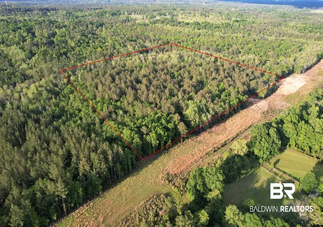 Photo 2 of Land for sale at 0 Pleasant Hl Rd, Century, FL 32535 | MLS# 396783 | Listing updated on 2026-10-13