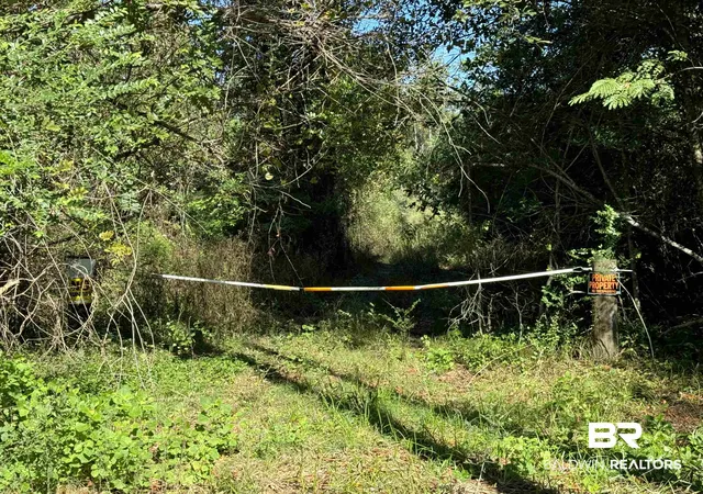 Photo 3 of Land for sale at 0 Pleasant Hl Rd, Century, FL 32535 | MLS# 396783 | Listing updated on 2026-10-13
