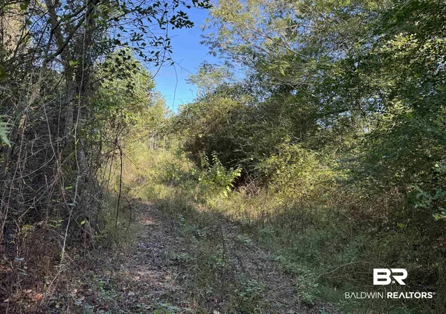 Photo 4 of Land for sale at 0 Pleasant Hl Rd, Century, FL 32535 | MLS# 396783 | Listing updated on 2026-10-13