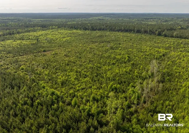 Photo 1 of Land for sale at 0 Flowers Rd, Bay Minette, AL 36507 | MLS# 398158 | Listing updated on 2026-07-24