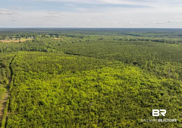 Photo 2 of Land for sale at 0 Flowers Rd, Bay Minette, AL 36507 | MLS# 398158 | Listing updated on 2026-07-24