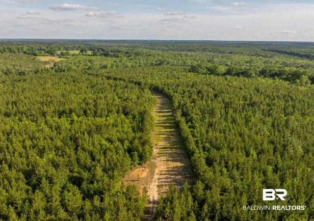 Photo 3 of Land for sale at 0 Flowers Rd, Bay Minette, AL 36507 | MLS# 398158 | Listing updated on 2026-07-24