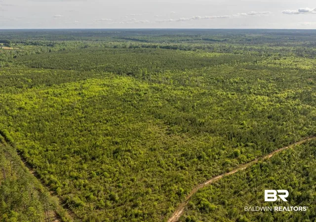 Photo 3 of Land for sale at 0 Flowers Rd, Bay Minette, AL 36507 | MLS# 398158 | Listing updated on 2026-07-24