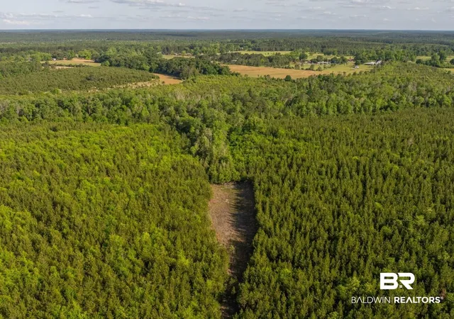 Photo 4 of Land for sale at 0 Flowers Rd, Bay Minette, AL 36507 | MLS# 398158 | Listing updated on 2026-07-24