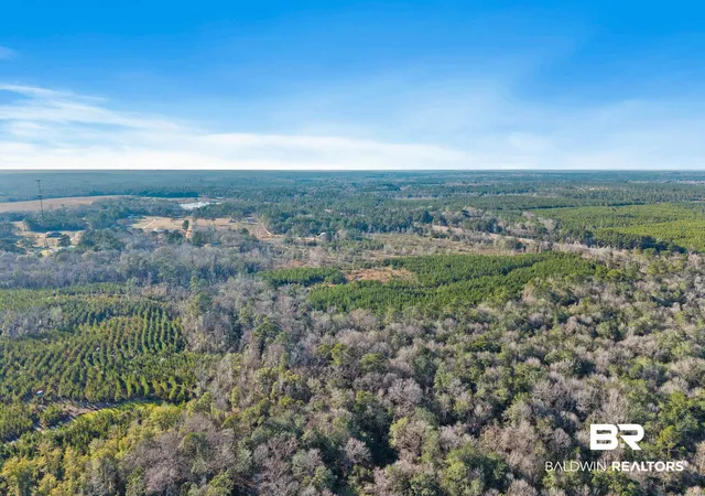 3rd image of 55750 Lottie Rd, Perdido, AL 36562 | MLS# 391538