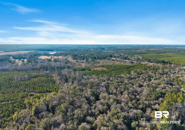 4th image of 55750 Lottie Rd, Perdido, AL 36562 | MLS# 391538