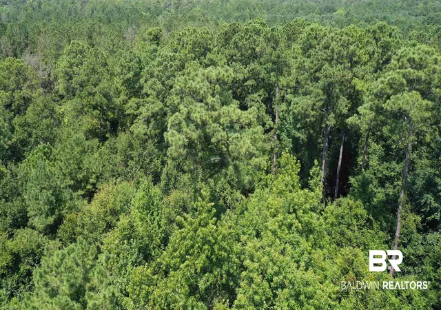 3rd image of 1 & 2 Jackson Cir, Brewton, AL 36426 | MLS# 396772
