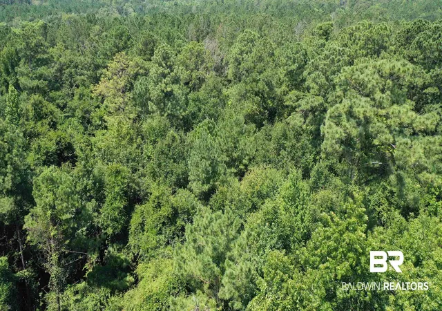 4th image of 1 & 2 Jackson Cir, Brewton, AL 36426 | MLS# 396772