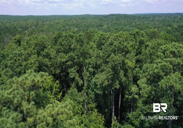 5th image of 1 & 2 Jackson Cir, Brewton, AL 36426 | MLS# 396772