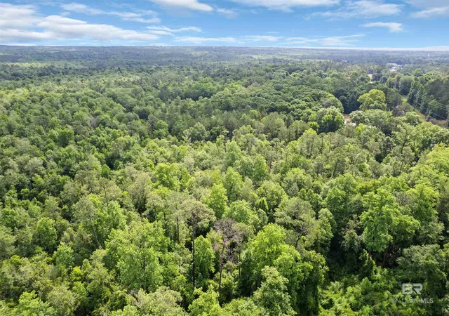 Homes for sale in Flomaton, AL | 0 Us Hwy 31, Flomaton, AL 36441 | MLS# 397271