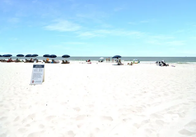 Photo 4 of Sale Pending at 497 Plantation Rd #1141, Gulf Shores, AL 36542 | MLS# 395709 | Listing updated on 2026-09-04