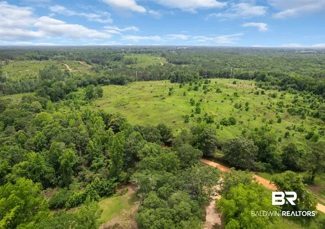 28th image of 0 Barton Rd, Monroeville, AL 36460 | MLS# 397885