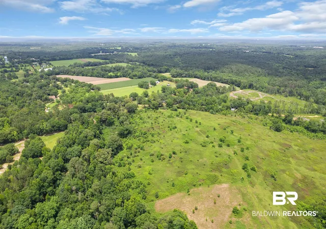 Photo 3 of Land for sale at 0 Barton Rd, Monroeville, AL 36460 | MLS# 397885 | Listing updated on 2026-07-24